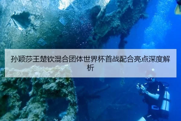 sun-ying-sha-wang-chu-qin-hun-he-tuan-ti-shi-jie-bei-shou-zhan-pei-he-liang-dian-shen-du-jie-xi-2-791.jpg