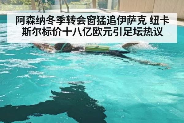 阿森纳冬季转会窗猛追伊萨克 纽卡斯尔标价十八亿欧元引足坛热议